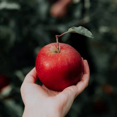 Apple Triple Braeburn/Royal Gala/Splendour