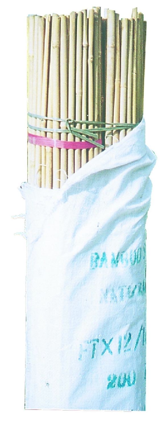 Bamboo Stakes 6ft,180cm (16-18mm) 10 Pack