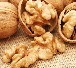 Juglans Serr, Walnut - Pb40