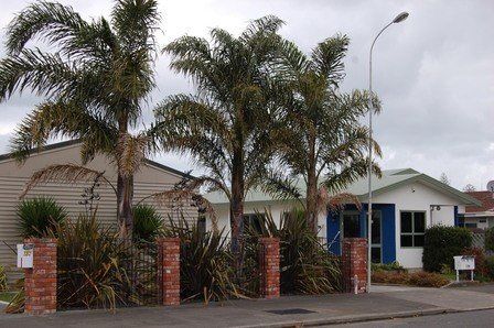 Syagrus romanzoffianum, Queen Palm - Pb18