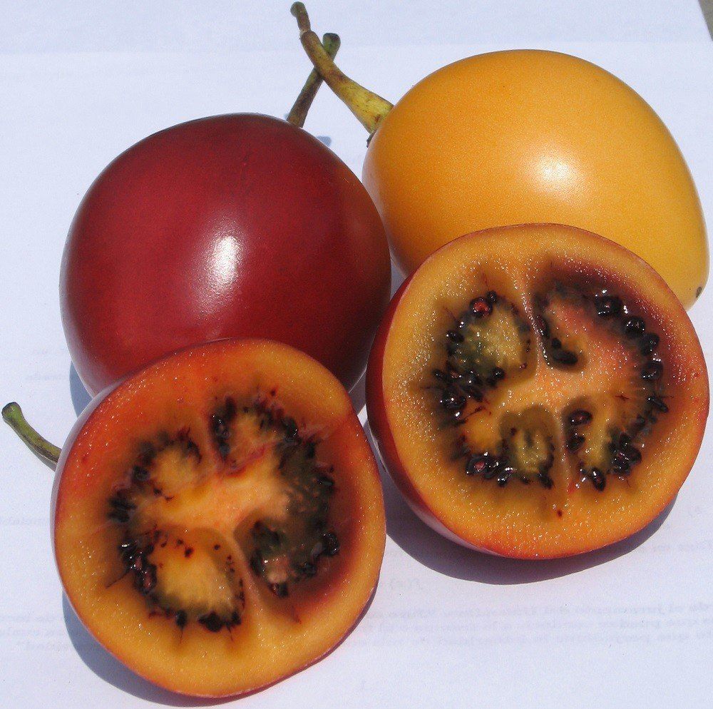 Tamarillo Teds Red - 2Ltr