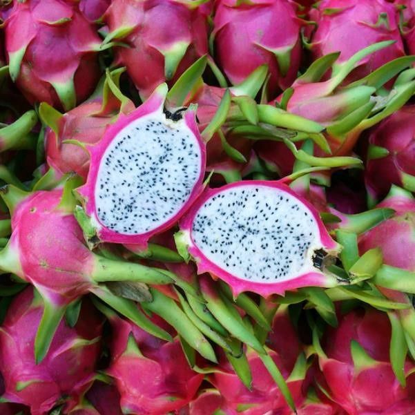 Dragonfruit White