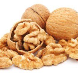 Juglans Meyric, Walnut - Pb40