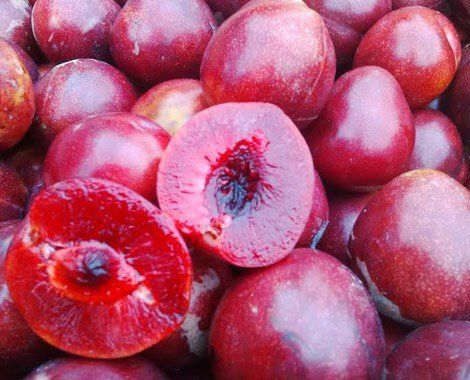 Plums Omega (George Wilson) - 4kg Carton