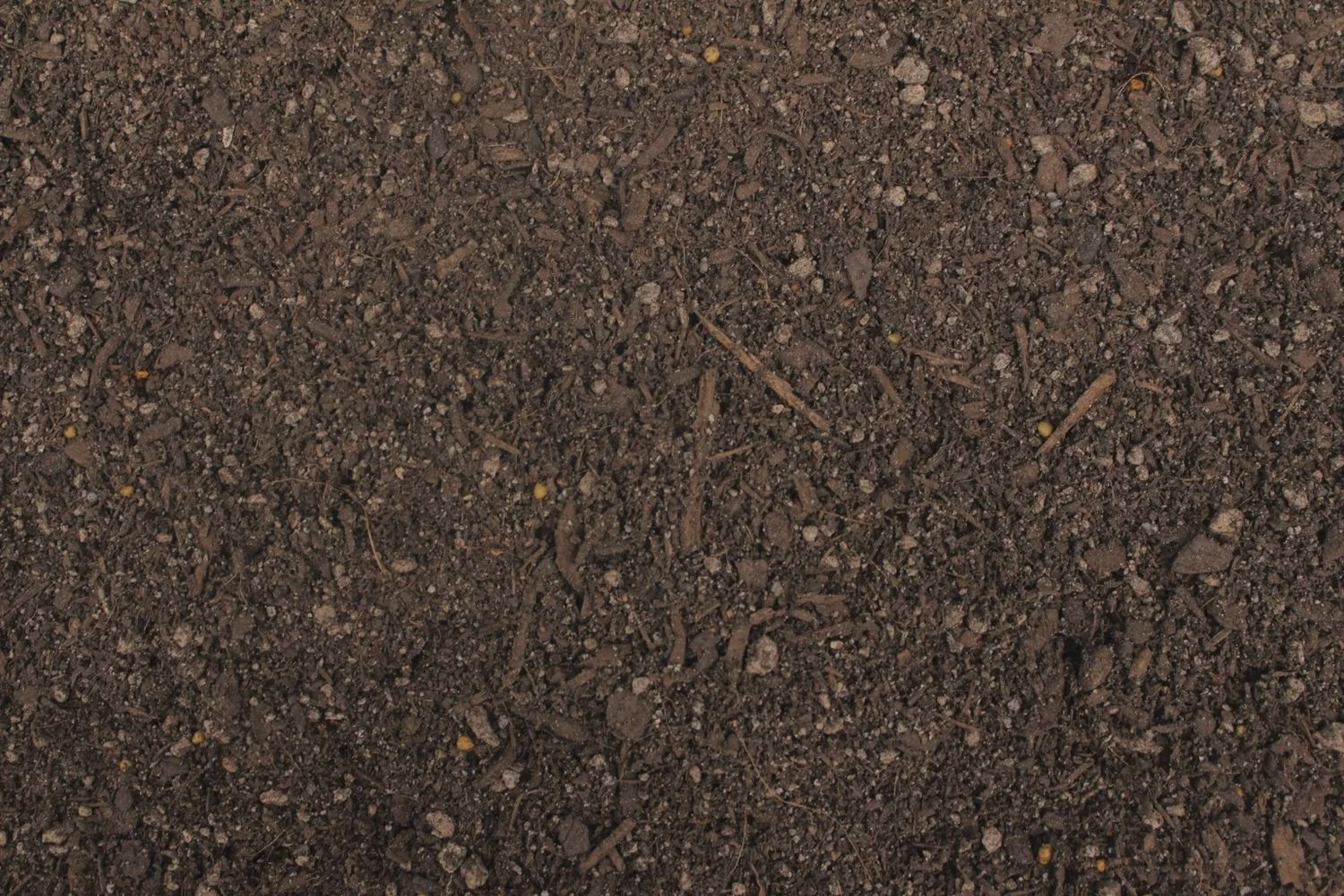 Potting Mix - ( Per Tractor Scoop )