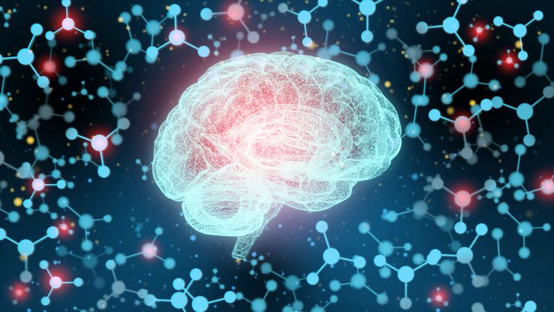 POZIOMY ŚWIADOMOŚCI - SKALA LOGANA