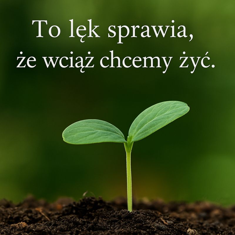 Człowiek i jego największy problem – lęk egzystencjalny