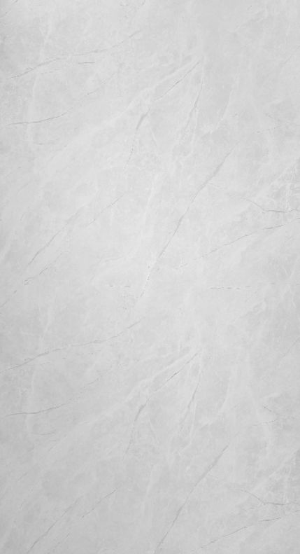 PIEDRA GRIS LIGHT | Acabado: MATE | Placa decorativa