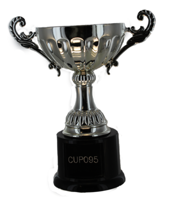 CUP095-7
