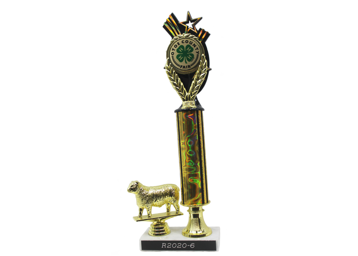 R2020 Trophy
