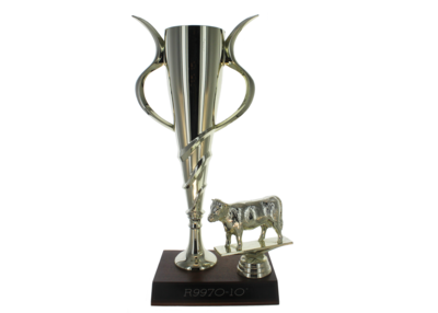 R9970 Trophy