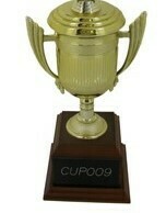 CUP009 *need to fix