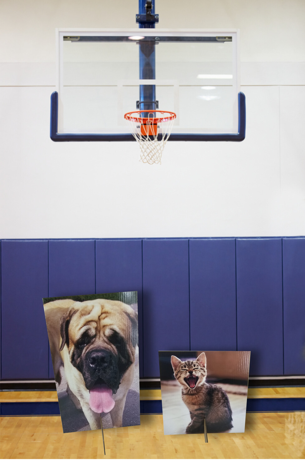 Fans in the Stands Pet Cutout
