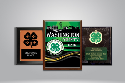 Plaques