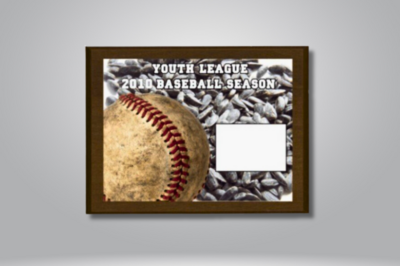 Plaques