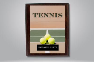 Plaques