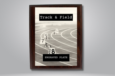 Plaques