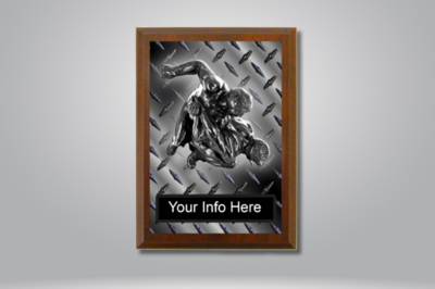 Plaques