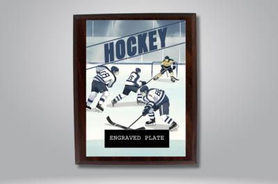 Plaques