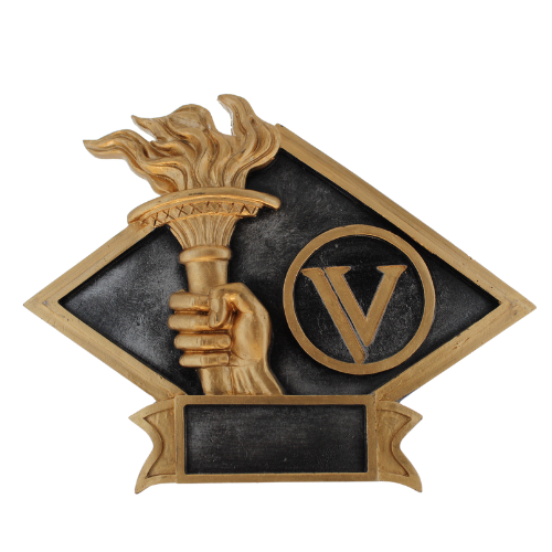 FSC193-VICT-6