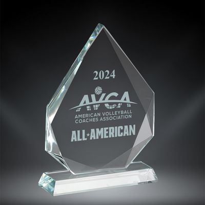 AVCA All American Award