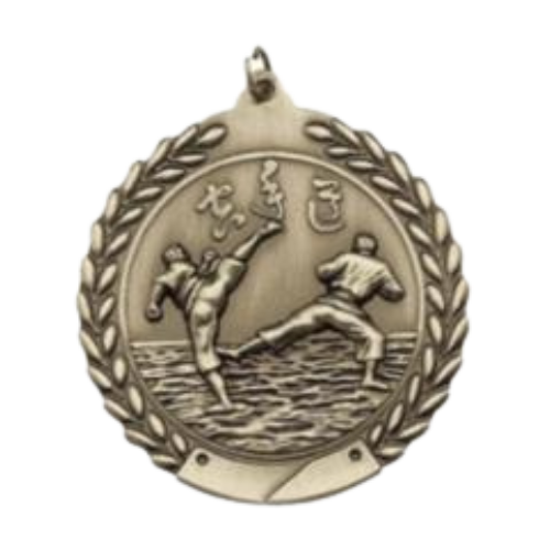 2.75&quot; Karate Medal