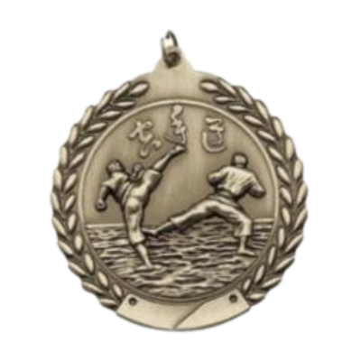 2.75&quot; Karate Medal