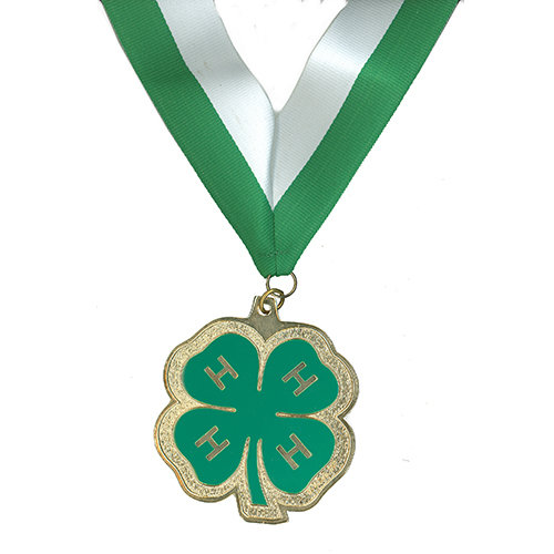 F4-H-G