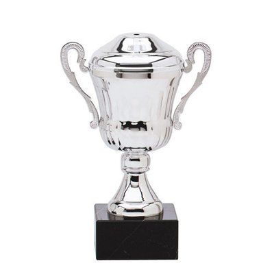 CUP243