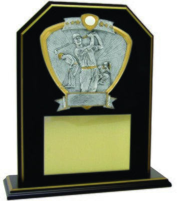 TP28-912GF-1-USAMT Trophy
