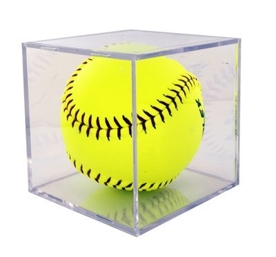 Softball Ball Case