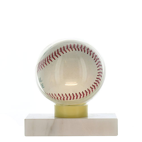 Baseball Ball Case