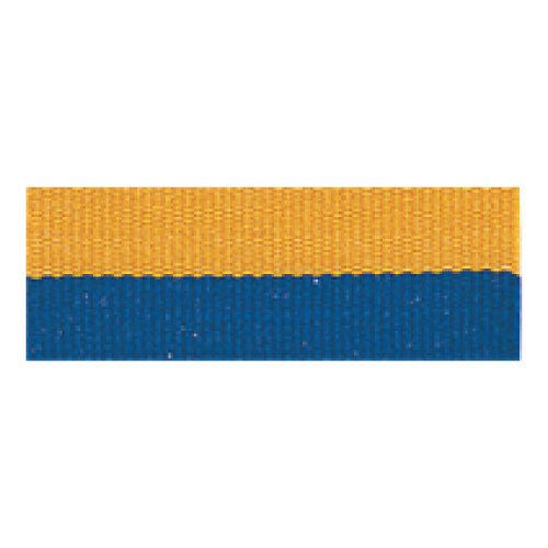Gold &amp; Blue Neck Ribbon