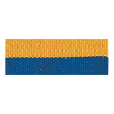 Gold &amp; Blue Neck Ribbon