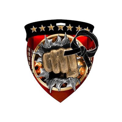 3&quot; Martial Arts Shield Medal *Limited Quantities*