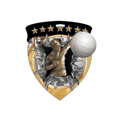 3&quot; Volleyball Shield Medal *Limited Quantities*