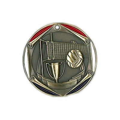 2" Volleyball Medal