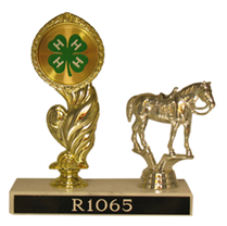 GFR1065