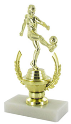 WRR2008