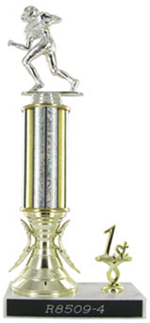 BIR8509