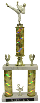 BIR9120
