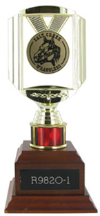 R9820 Trophy