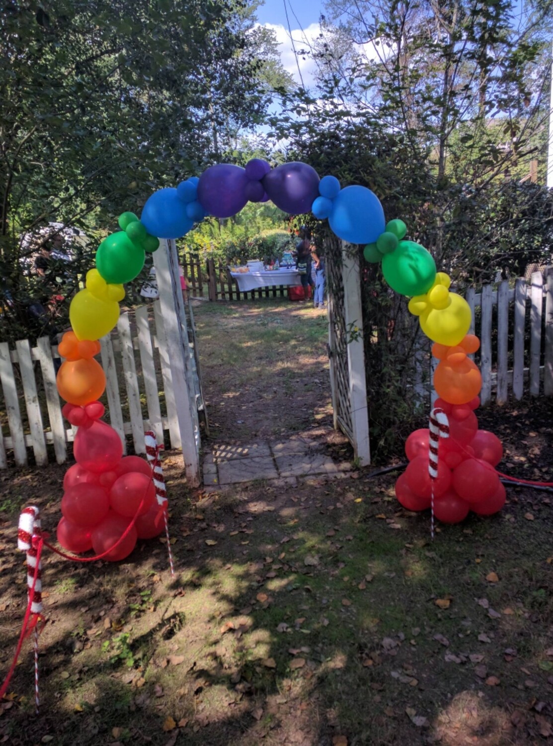 Balloon Arch - Linked Arch