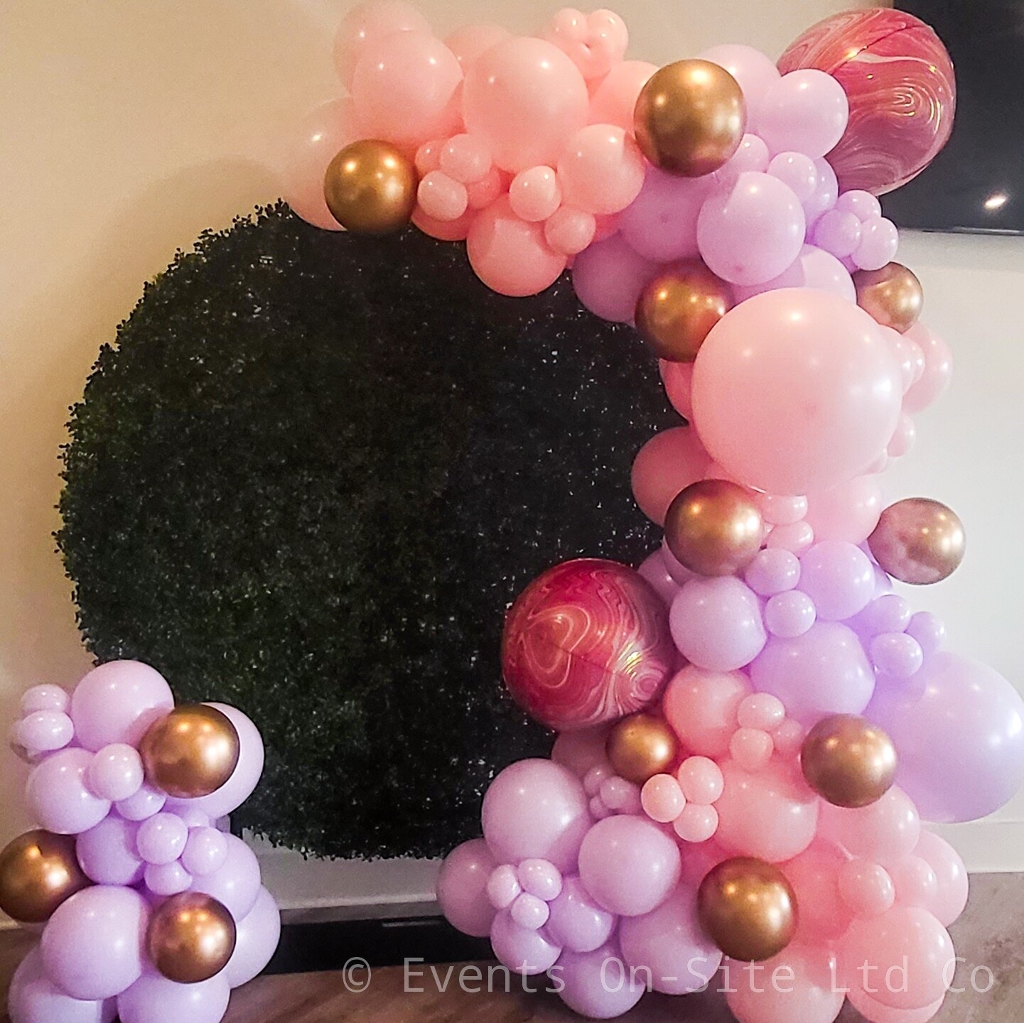 Boxwood Hoop Backdrop RENTAL w/Balloon Garland - Full