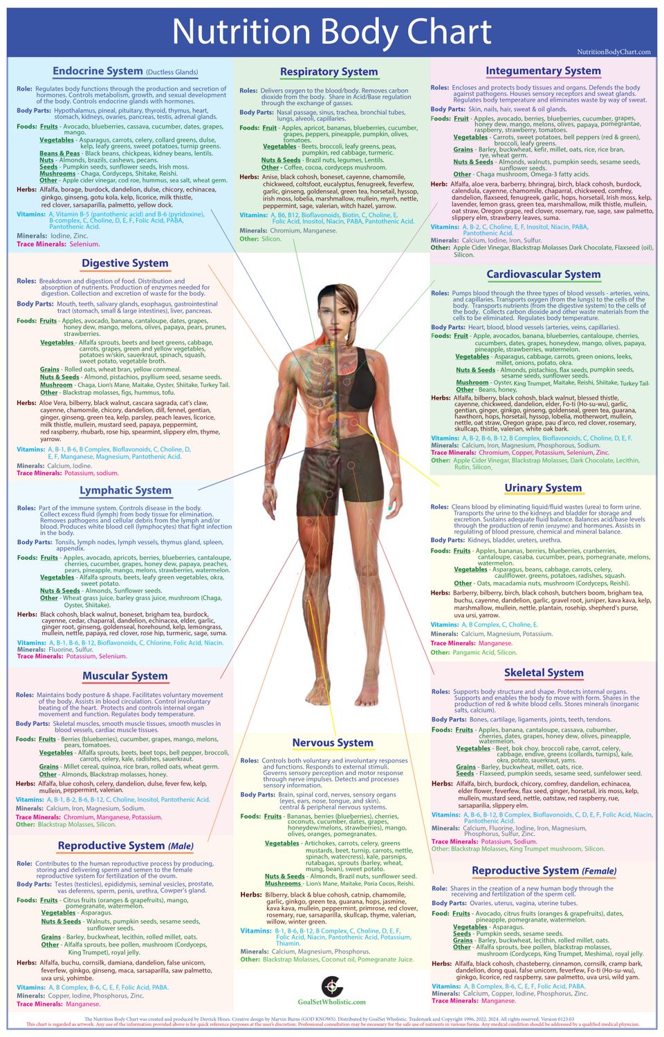 Nutrition Body Chart