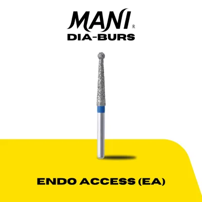 Endo Access