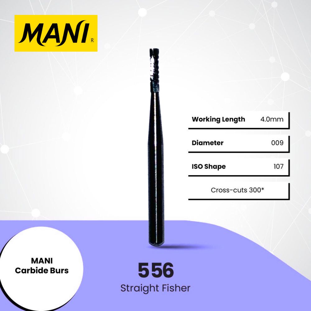 Straight Fissure 556