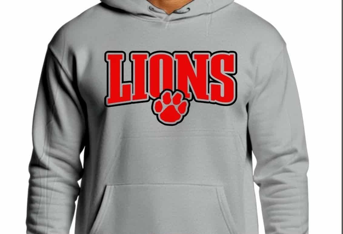 Lions Hoodie Gray