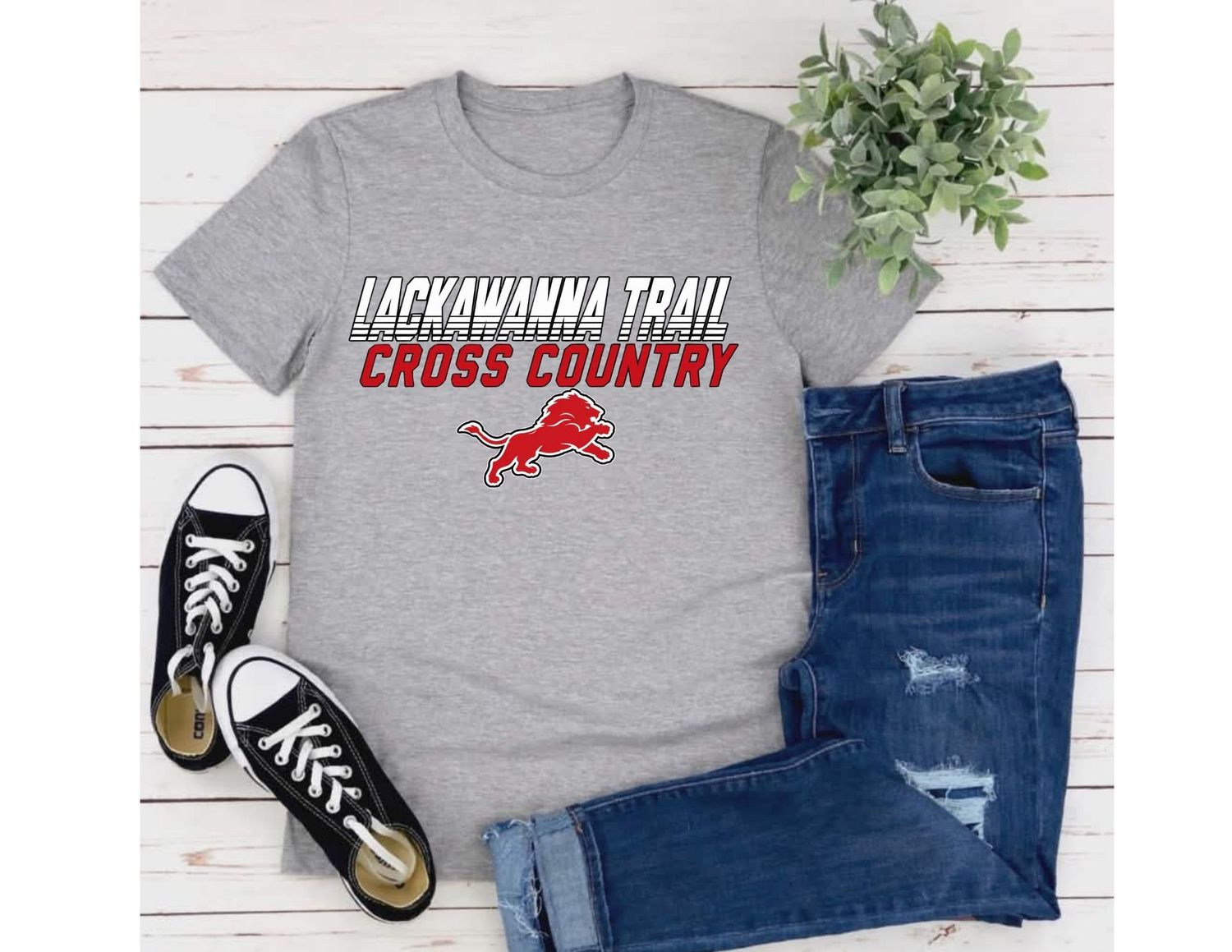 Lackawanna Trail Cross Country