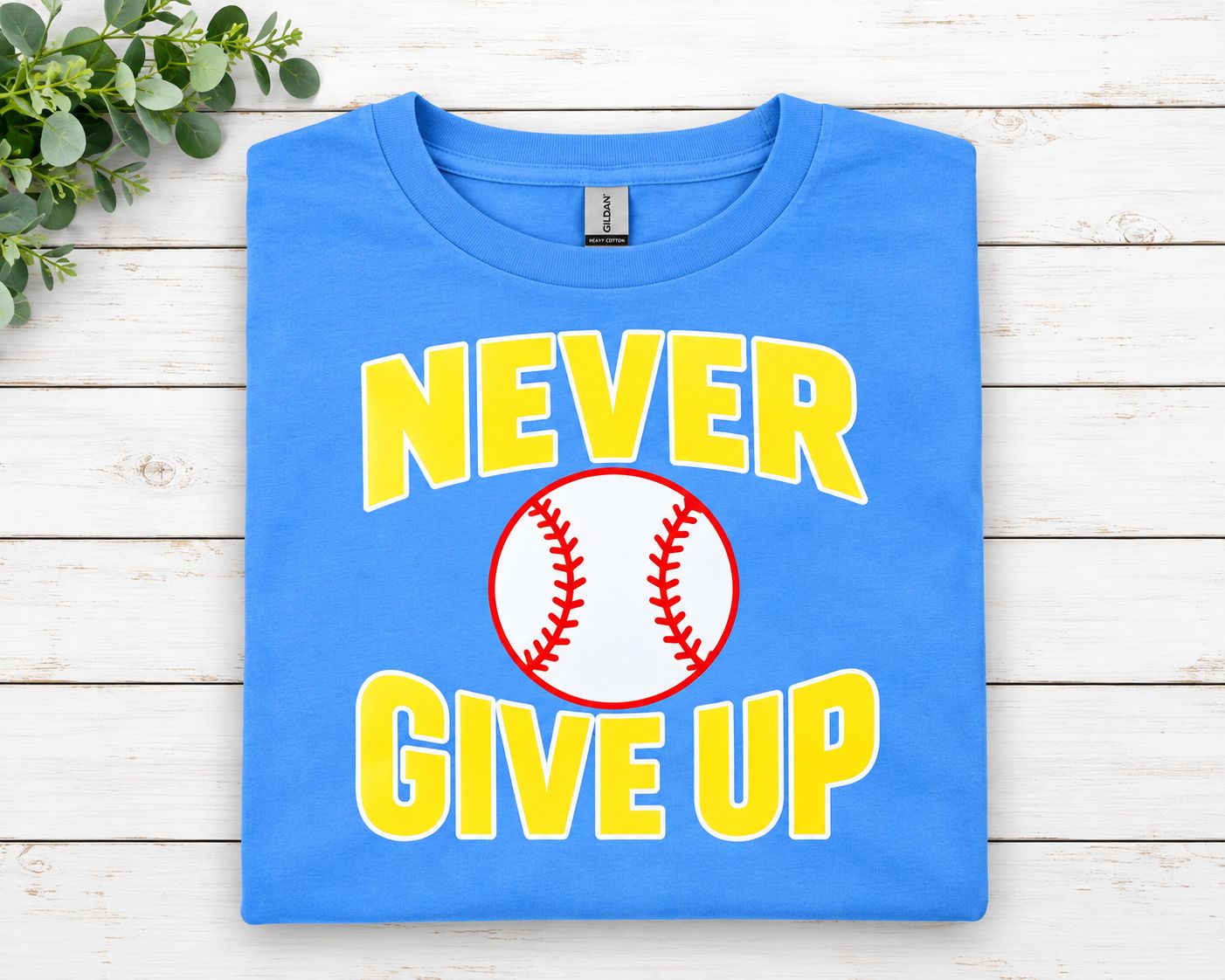 Never Give Up